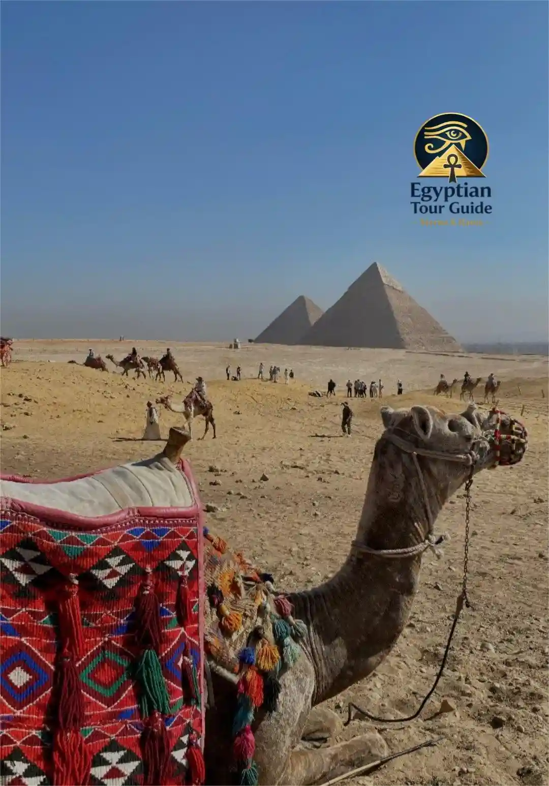 Close up camel ride pyramids