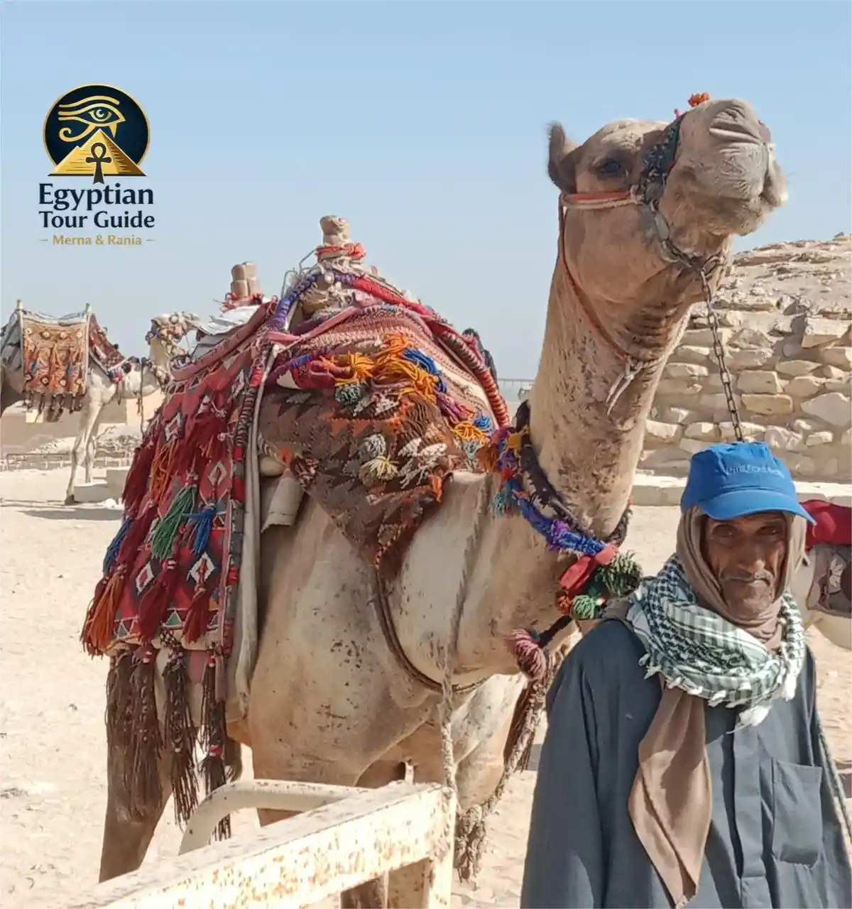 Luxury private camel ride Cairo