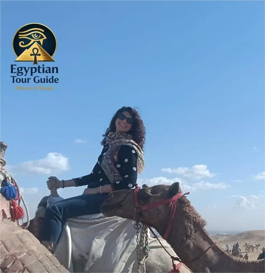 Panoramic view of camels and pyramids