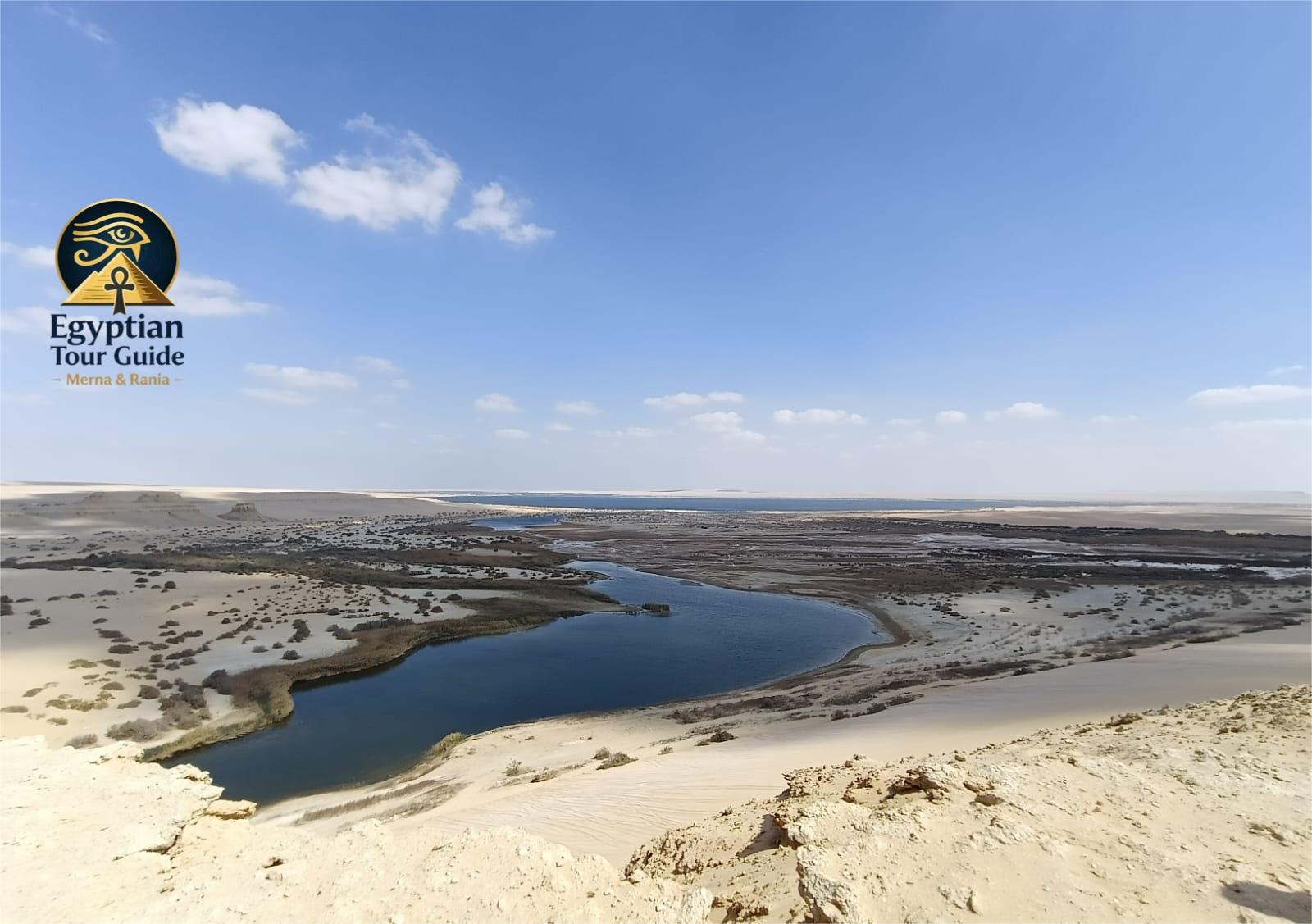 Thrilling Fayoum Desert Safari and Wadi El Hitan Adventure