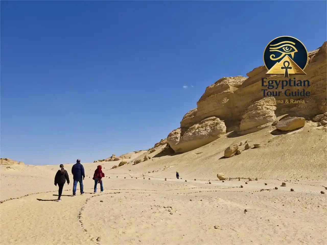 Valley of the Whales UNESCO fossils exploration