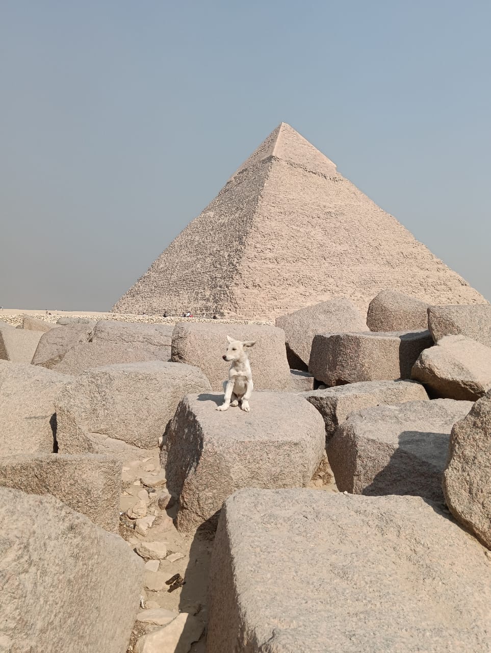Sphinx of Giza